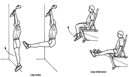 Leg Extensions and Leg Raises