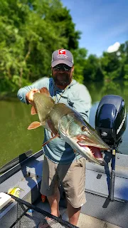 in the spread muskie fishing videos chad bryson musky