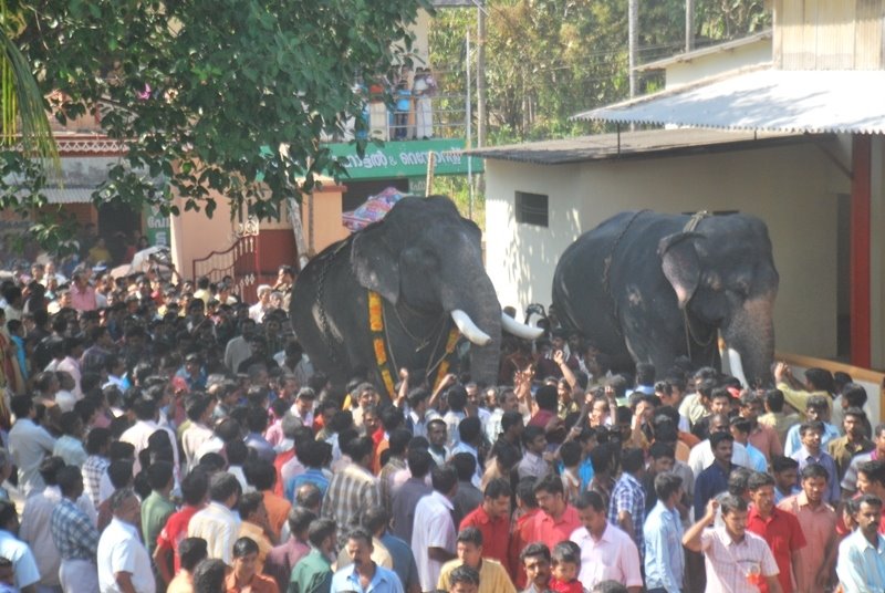 Gajaraja Varavelpu