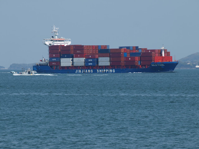MILD TUNE Jinjiang Shipping Container Ship (Hong Kong)