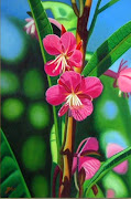 Cuadros flores exóticas tropicales