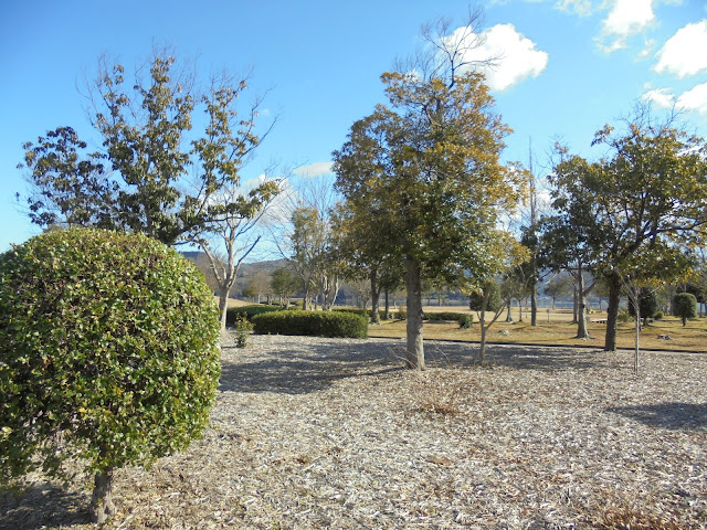 東郷湖羽合臨海公園浅津公園