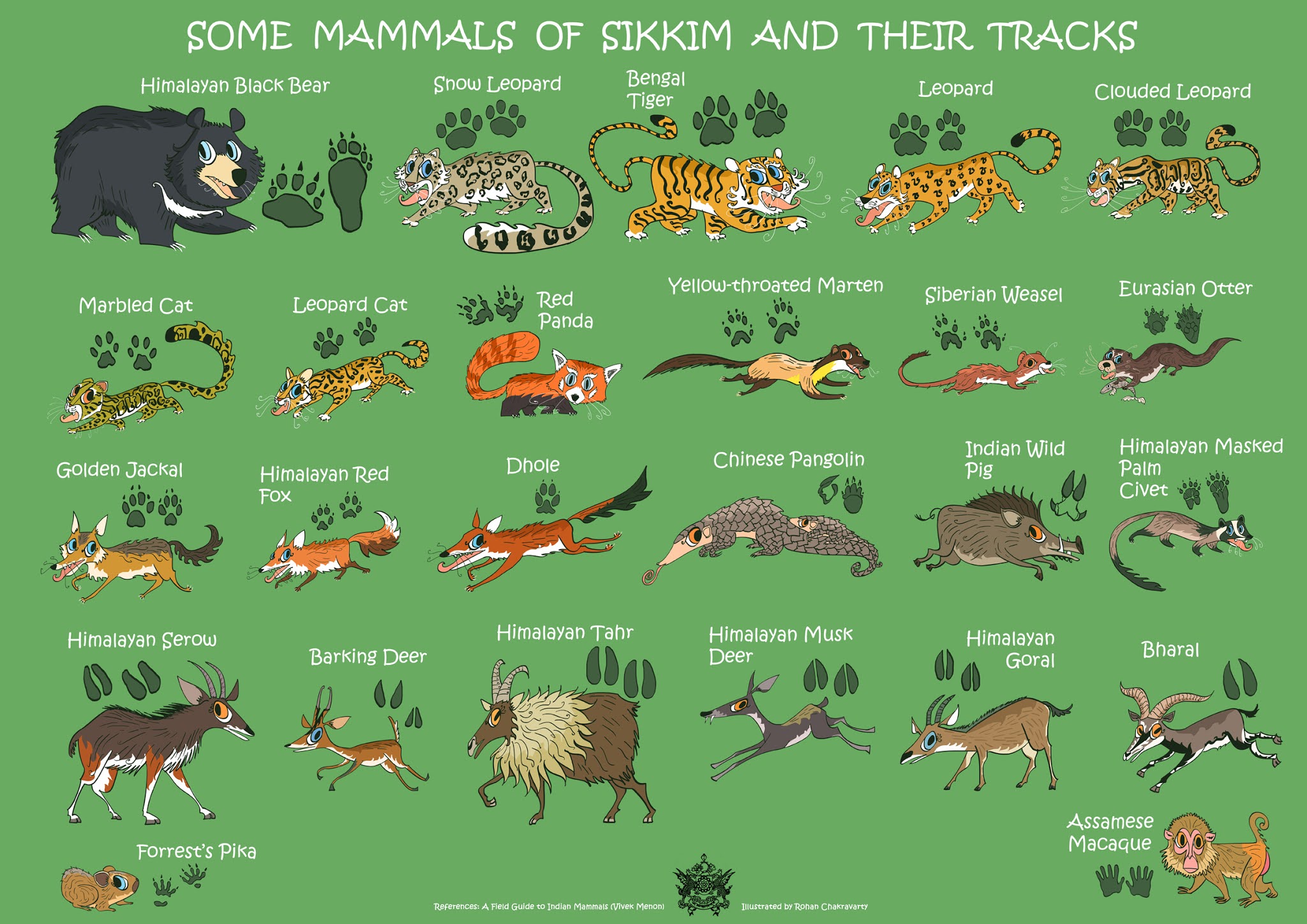 Sikkim Animals Name With Pictures / Sikkim Wildlife 8 ...