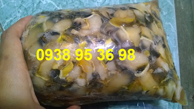 Bán hàu điếu sỉ và lẻ 0938 95 36 98  Giá mua cồi hàu điếu tốt nhất tại Sài Gòn, bán cồi hàu điếu giá rẻ ngon tại Sài Gòn, thịt ốc san hô, thịt hàu điếu, cung cấp ruột hàu điếu giá rẻ nhất, hàu điếu giao hàng tận nơi.   Các món ngon từ cồi hàu điếu - thịt ốc san hô: Hàu điếu nhúng lẩu, cồi hàu điếu nấu canh hoặc súp, ruột ốc san hô nhúng chanh chấm mù tạt, hàu điếu xào sa tế, hàu điếu sả ớt, cồi hàu điếu xào bơ tỏi, hàu điếu xào mì, hàu điếu nấu bún, cồi hàu điếu nấu cháo đều rất ngon,...  Liên hệ 0938 95 36 98