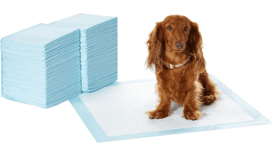 Amazon Basics Dog and Puppy Pee Pads with Leak-Proof Quick