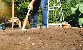 Alan Titchmarsh raking his vegetable garden