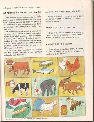 ciencias geografico naturais antonio  branco 02