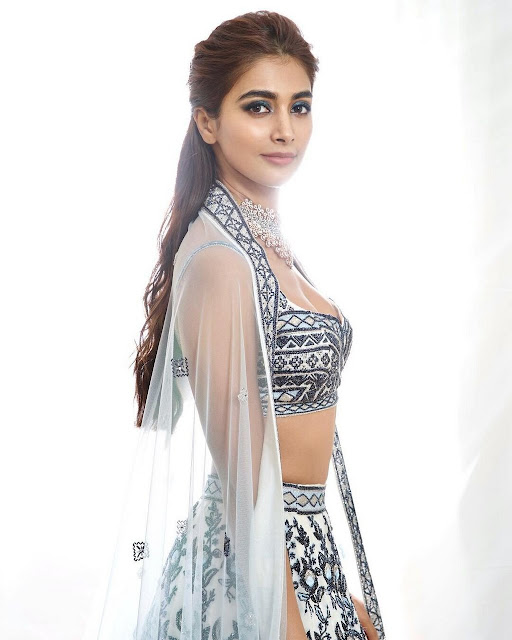 Actress Pooja hegde hot images