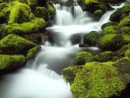 Best HD NatureWallpapers,image,photos free downlod 144