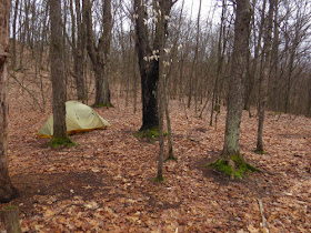 tent in the woods