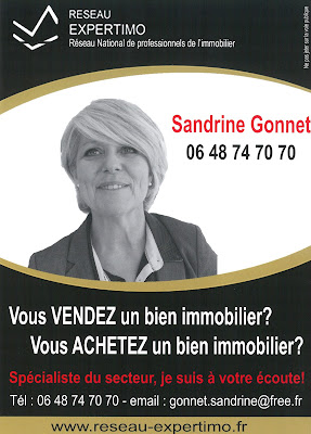 http://sandrinegonnet.blogspot.fr/