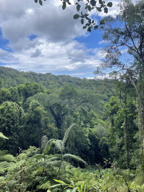 Mt. Pico de Loro Hike, April 2024