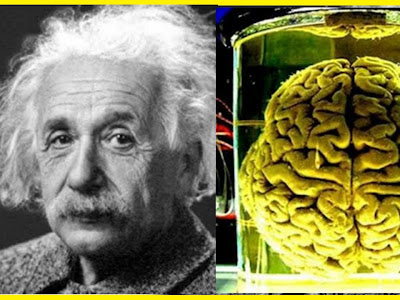 Albert einstein date of birth and death 104527-Albert einstein birth date and death date