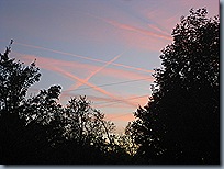 IMG_7332