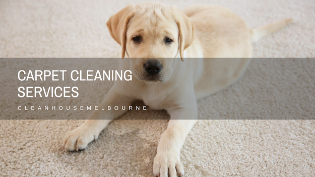 Carpet Steam Cleaning Melbourne