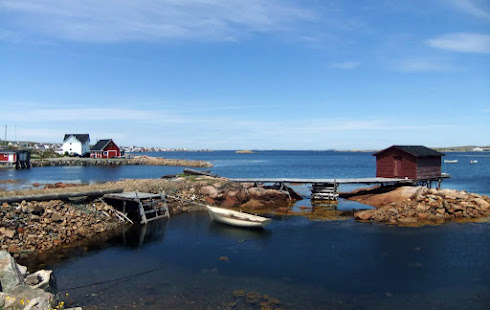 The Very Best and Worst time to Visit Newfoundland - When to Go and What to See
