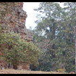 View album