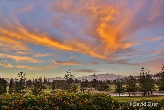 DAZ_0529