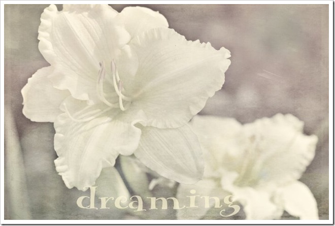 dreaming-sz 016