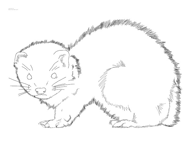 Click Here For The Free Printable Coloring Page For  By  Inch Paper  Then Click On Your Browser