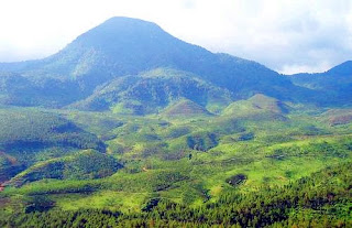 Jalur Pendakian Gunung Bukit Tunggul