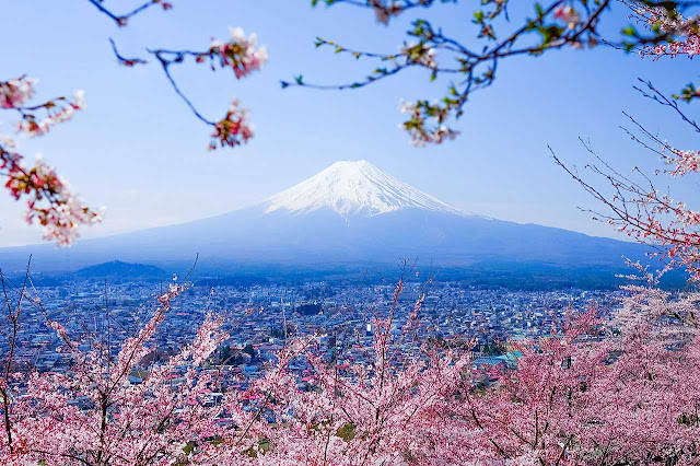 Du lịch Kyoto mùa xuân