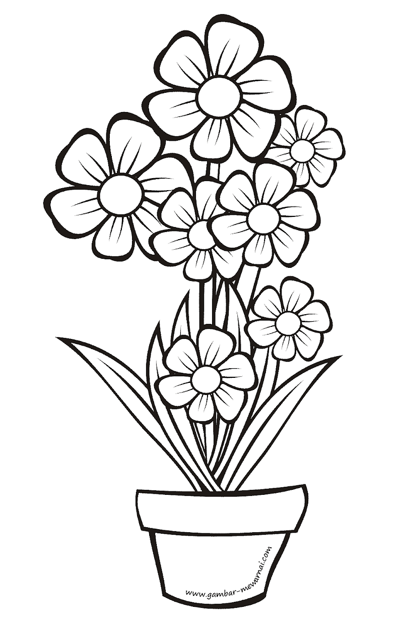 16+ Sketsa Bunga Dan Pot, Cantik!