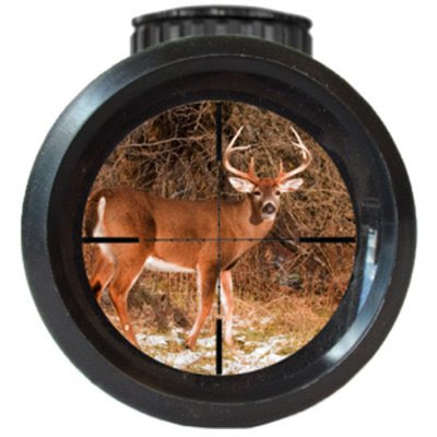 scope lenses