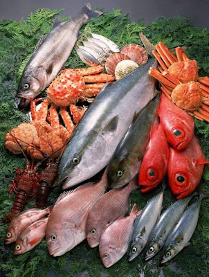 Beautiful ocean fresh seafood Pics