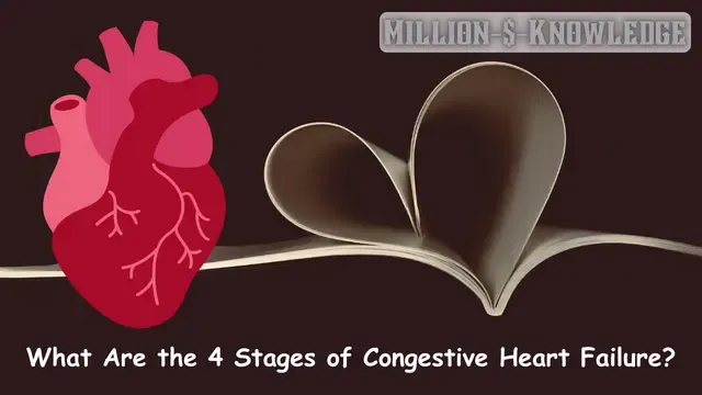 What are the 4 stages of congestive heart failure