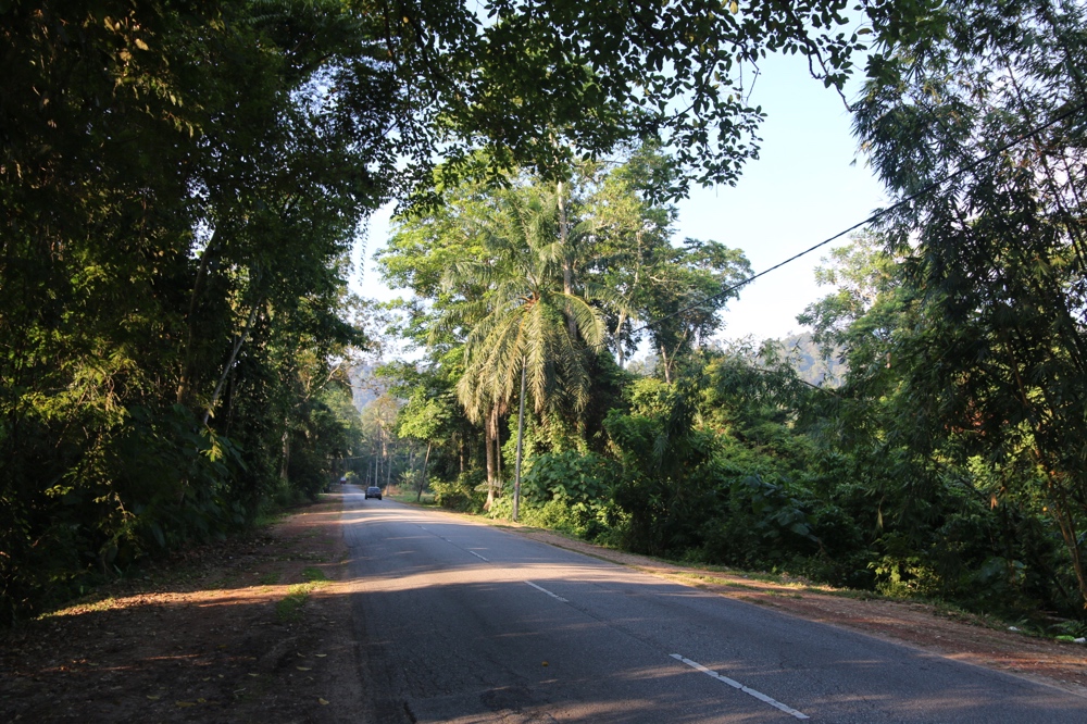 Kampung road