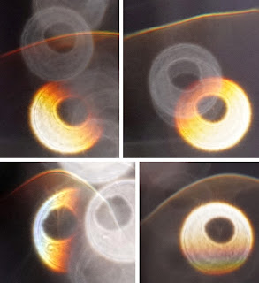 orange orb rings