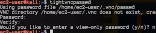 vncserver password