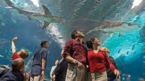 Top 10 Best Aquariums in Texas - 2023