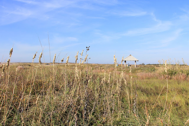 Wispy Clouds in the Sky at Jetty Park-Matagorda, Texas