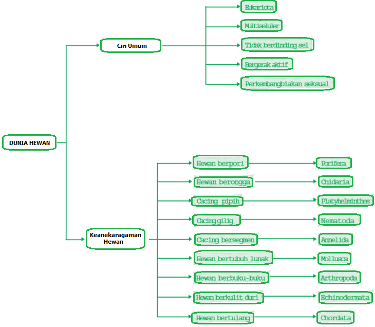 Dunia Hewan  Animalia Ciri Umum Animalia 
