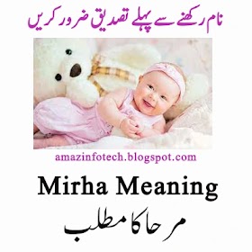 Mirha (مرحا) Girl Name Meaning In Urdu/English