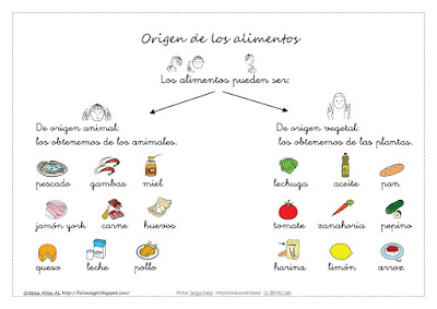 Resultado de imagen de alimentos naturales y elaborados primaria