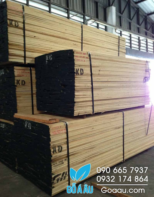 Gỗ Bạch Dương vàng xẻ sấy (yellow Poplar)