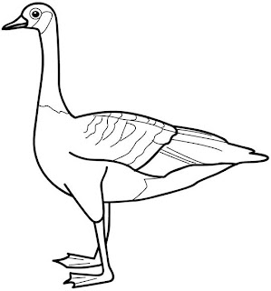 duck coloring pages