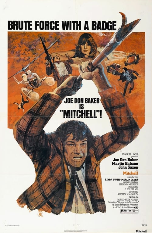 Mitchell 1975 Film Completo Download