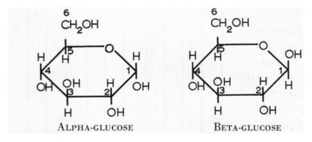 January 2011 | Science Decoder