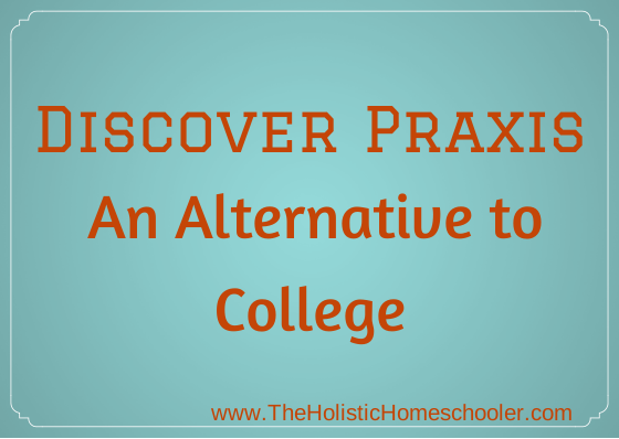 Praxis is an alternative to college for kids who either don't want to attend or want to take a gap year off between high school and college.