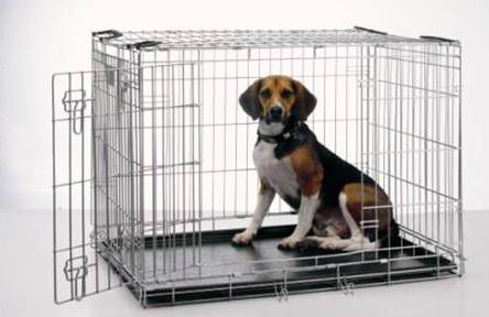 Crate Training Puppies on Dogs In The City  Crate Training    God   S Gift To Dog Owners