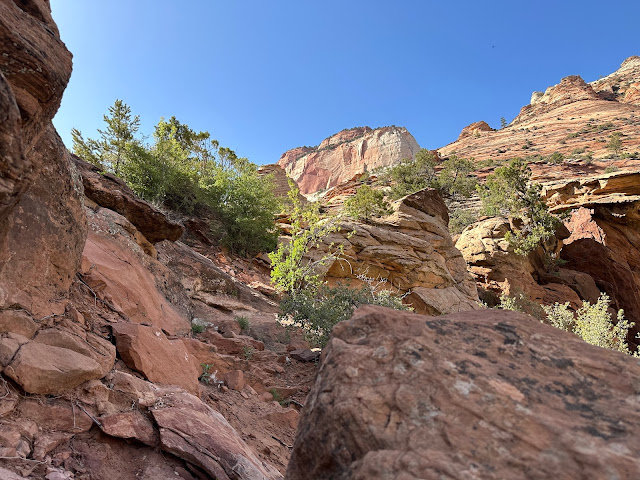 Zion National Park