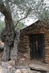 wm_IMG_7320