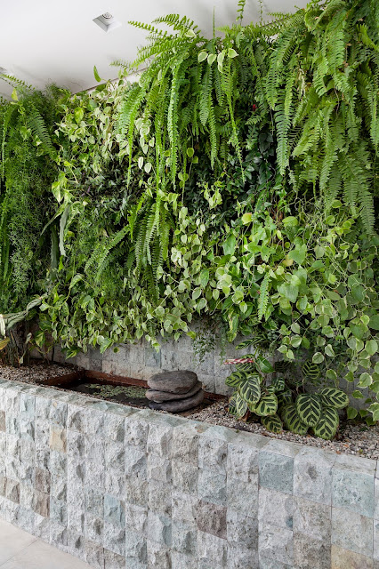 varanda-verde-com-parede-verde-de-folhagens-e-plantas