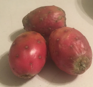 dehydrating prickly pear cactus fruit, prickly pear chips, what to do with prickly pears, are prickly pears edible, prickly pear fruit chips