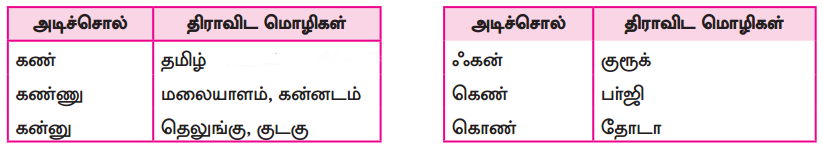 அடிச்சொல் ஒப்பீடு
