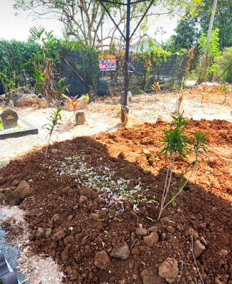 cerita ccl , kenangan arwah tok , pengkebumian arwah tok